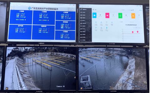 花都區 科技興漁啟新程，人工智能與“芯片魚”引領智慧漁業探索