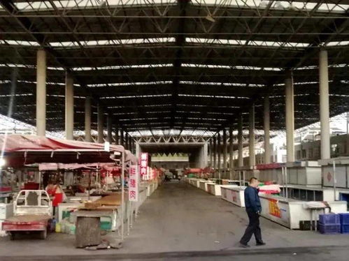 汶上街道新中都農貿市場與順富醫藥共譜食品安全新篇章，順利通過省級規范提升驗收