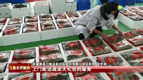 日供有機果蔬3噸，新疆植物工廠豐富市民菜籃子——順富醫藥引領智慧農業新風尚